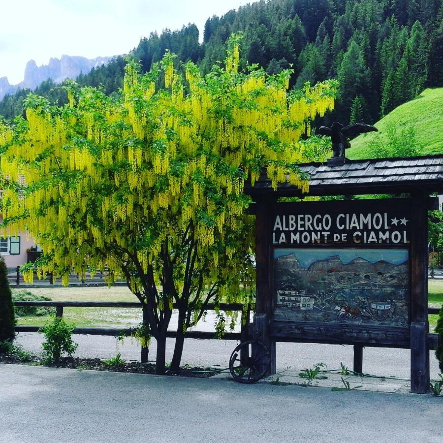 Hotel Ciamol Campitello di Fassa Exteriér fotografie